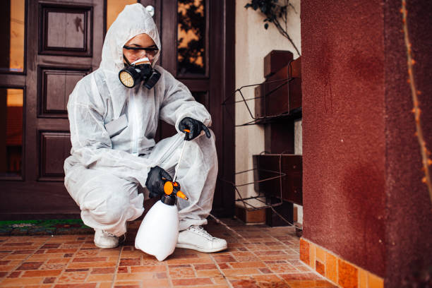 Reliable Cockroach Control contractor in Kaneohe, HI by Nex Pest Control